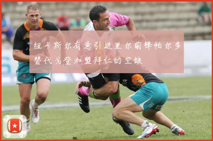 纽卡斯尔有意引进里尔前锋帕尔多替代戈登加盟拜仁的空缺