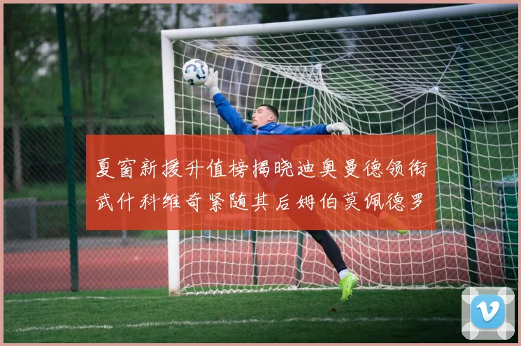 夏窗新援升值榜揭晓迪奥曼德领衔武什科维奇紧随其后姆伯莫佩德罗表现抢眼