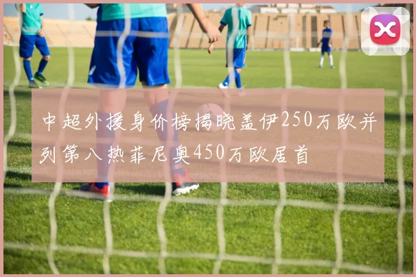 中超外援身价榜揭晓盖伊250万欧并列第八热菲尼奥450万欧居首