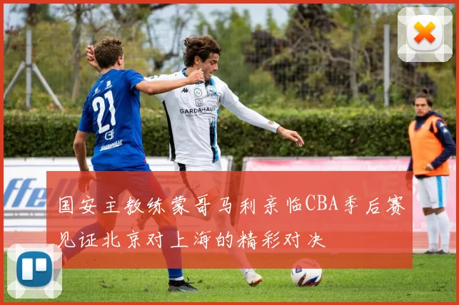 国安主教练蒙哥马利亲临CBA季后赛见证北京对上海的精彩对决